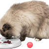 Игрушка для кошек Trixie Flip Board (45892)
