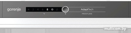 Холодильник Gorenje RKI2181A1