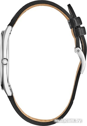 Наручные часы Citizen AR3070-04L