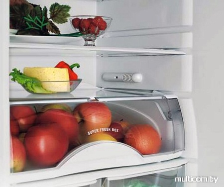 Холодильник ATLANT ХМ 6224-101