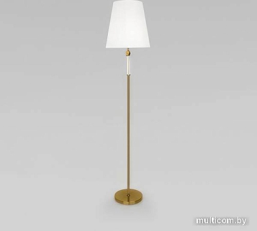 Торшер Евросвет Conso 01146/1 (латунь)