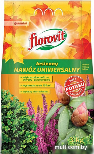 Удобрение Florovit Универсальное осеннее (3 кг)