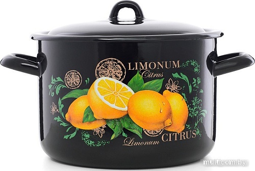 Кастрюля Эстет Цитрус ЭТ-72903