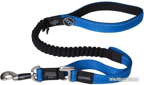 Поводок Rogz Lumberjack Control Lead RHLOC25B (голубой)