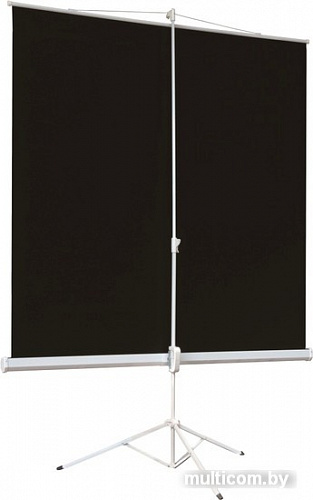 Проекционный экран Digis Kontur-A 180x240 DSKA-4305