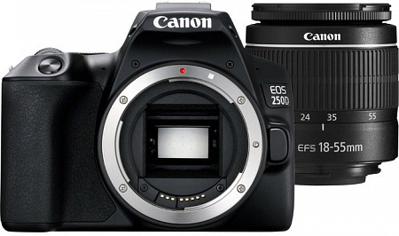 Зеркальный фотоаппарат Canon EOS 250D Kit 18-55 f/3.5-5.6 III + SB310 + SDHC (черный)