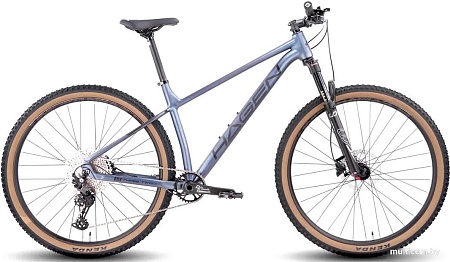 Велосипед Hagen 3.12 29 XL 2025 (оружейный серый)