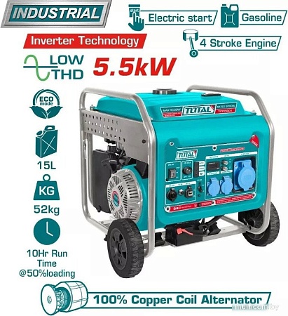 Бензиновый генератор Total TP355001