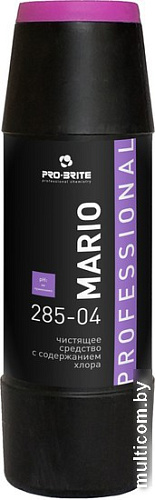 Средство для кухни Pro-Brite Mario с содержанием хлора (400 г)