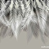 Фотообои Citydecor Пальмовые листья 300x254