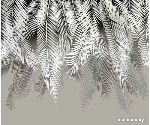 Фотообои Citydecor Пальмовые листья 300x254