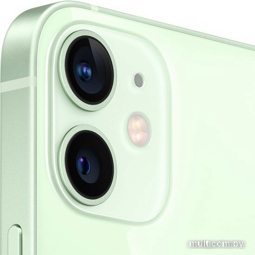 Смартфон Apple iPhone 12 mini 256GB Воcстановленный by Breezy, грейд A (зеленый)