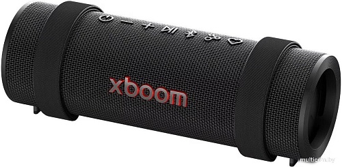 Беспроводная колонка LG XBOOM Grab