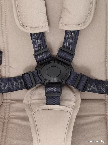 Универсальная коляска Rant Energy Basic RA092 2024 (2 в 1, бежевый)