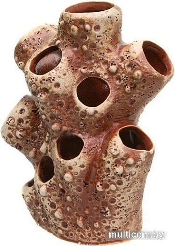 Декорация Орловская керамика Актиния большая