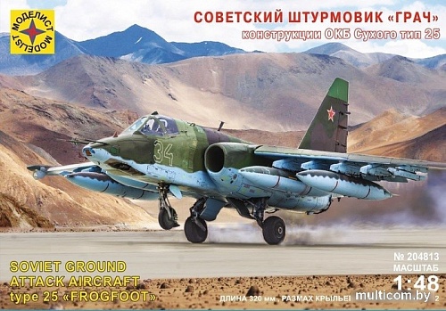Сборная модель Моделист Советский штурмовик Грач 204813