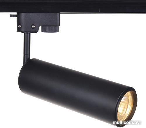 Точечный светильник Arte Lamp A1412PL-1BK