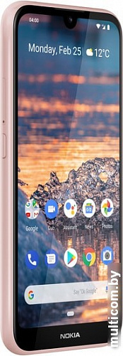 Смартфон Nokia 4.2 3GB/32GB (розовый)