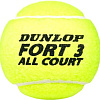 Мяч Dunlop Fort All Court (4 шт)