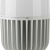 Светодиодная лампа ЭРА LED Power T160 E27/E40 100 Вт 6500 К