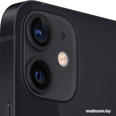 Смартфон Apple iPhone 12 mini 64GB (черный)