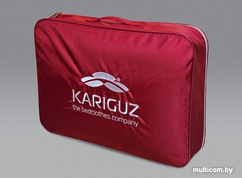 Kariguz Био Хлопок БХл21-7-3 (200x220 см)