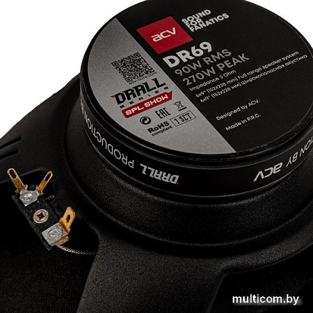 Широкополосная АС ACV DR69 Drall