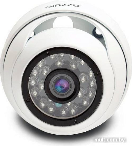 IP-камера Ginzzu HID-5301A