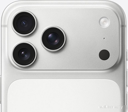 Телефон Apple iPhone 17 Pro Max Dual eSim 256GB (серебристый)