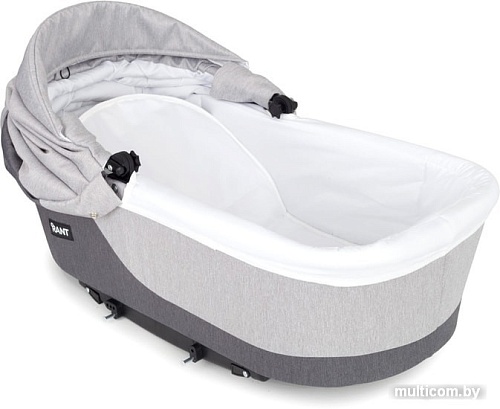 Универсальная коляска Rant Siena (2 в 1, 04 графит/серый)