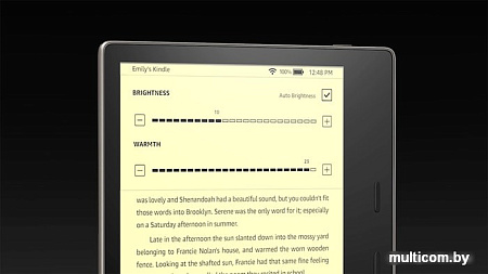 Электронная книга Amazon Kindle Oasis 2019 8GB (серый)