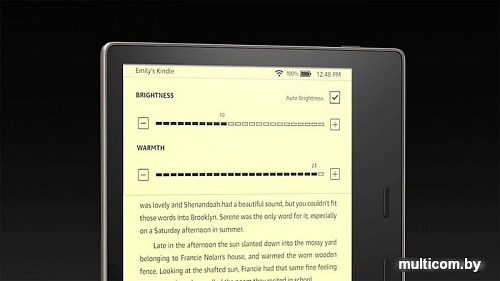 Электронная книга Amazon Kindle Oasis 2019 8GB (серый)