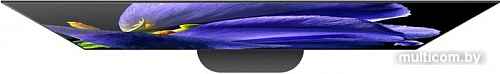 Телевизор Sony KD-77AG9