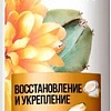 Шампунь Pantene Pro-V Miracles Восстановление и укрепление 250 мл