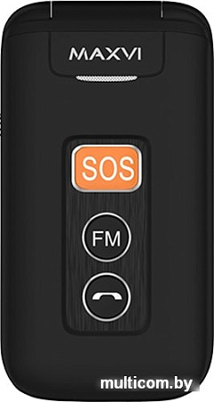 Мобильный телефон Maxvi E5 (черный)