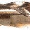Сверло Thorvik TDB073K5