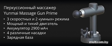 Перкуссионный массажер Yunmai YMFG-B453