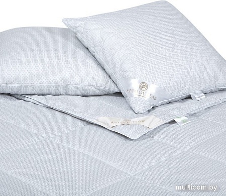 Комплект подушка+одеяло АртПостель Н4156