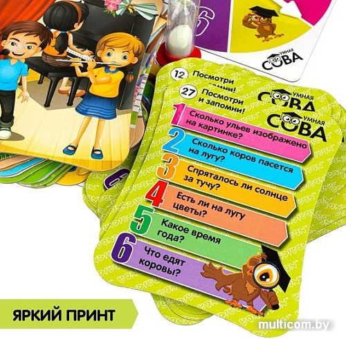 Развивающая игра Bondibon Умная сова. Посмотри и запомни ВВ4004