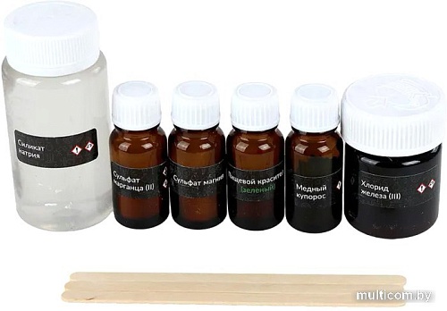 Набор для опытов Трюки науки Лаборатория кораллов Z010