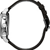 Наручные часы Timex TW2V43800