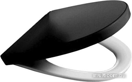 Сиденье для унитаза Roca Victoria Nord ZRU9302627 (черное)