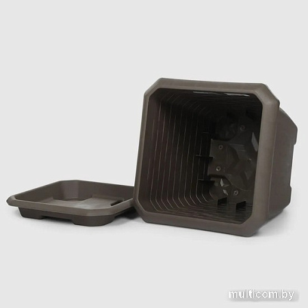 Serinova Hisar №3 20-HKS309214-200100 (мокко)
