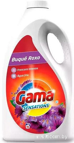 Гель для стирки Gama Buque Roxo 4.05 л