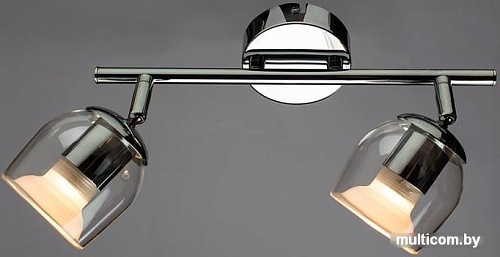 Точечный светильник Arte Lamp Echeggio A1558AP-2CC