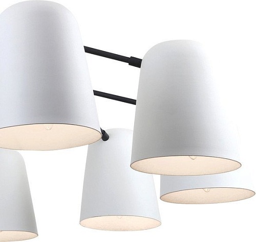 Подвесная люстра F-Promo 2762-10P