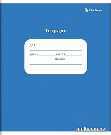 Набор тетрадей Schoolformat Однотонная школьная ТШКО24-Ш-НМП