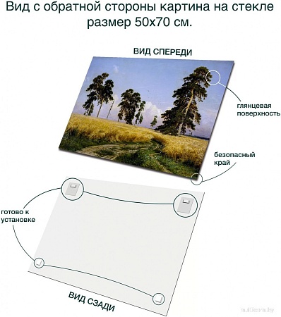 Картина Stamprint Рожь И.И. Шишкин PT024 (50x70)