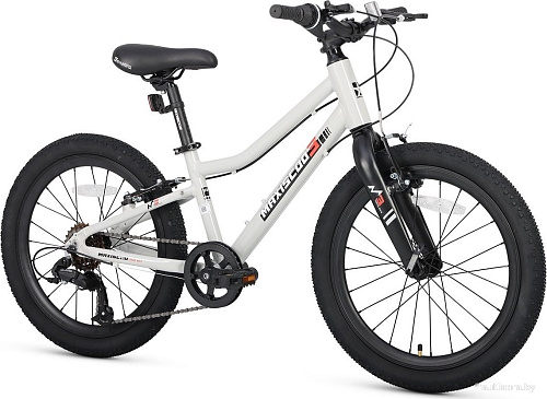 Детский велосипед Maxiscoo 3bike 20 L 2025 MSC-M3-2003 (серый)