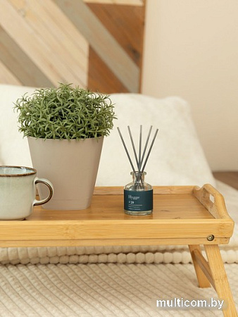 Аромадиффузор Arida Home Hygge №20 Шафран и карамель (50 мл)